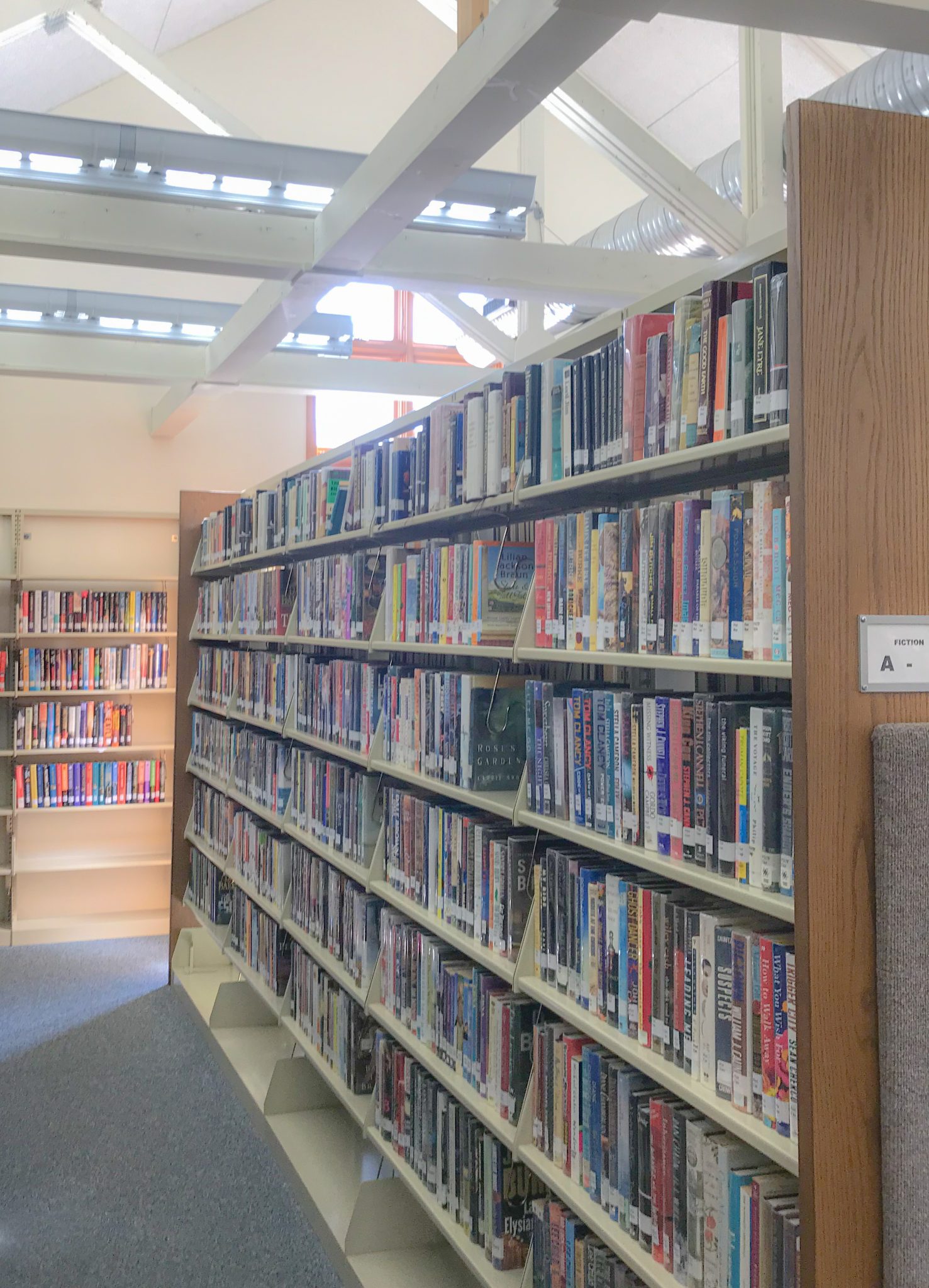 Library Services Town of Johnsburg Library